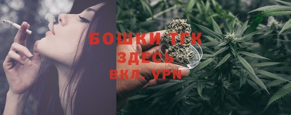 мяу мяу кристалл Переславль-Залесский