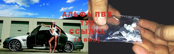 шишки Осинники