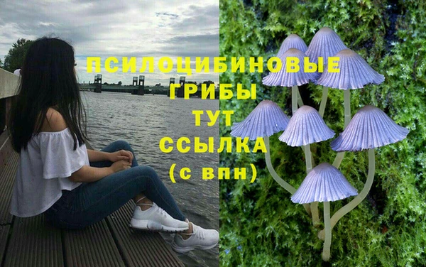 ешки Пестово