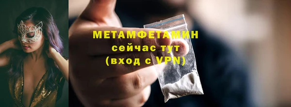 шишки Кирсанов