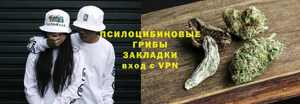 ешки Пестово