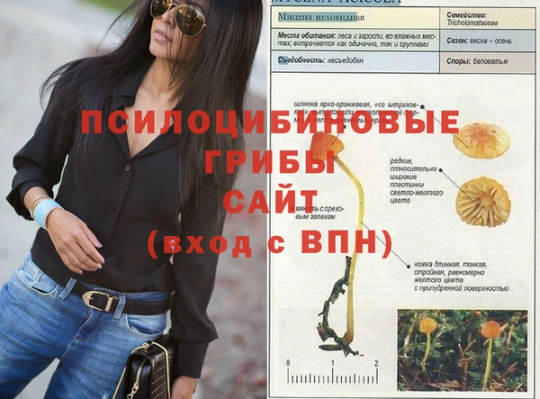 шишки Осинники