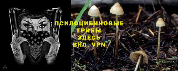мяу мяу кристалл Переславль-Залесский