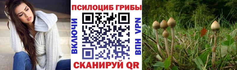 Псилоцибиновые грибы мухоморы  наркотики  darknet как зайти  Беломорск 